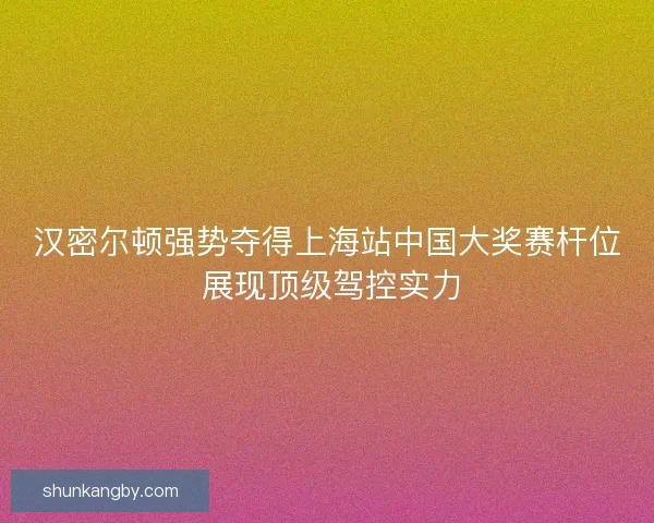 汉密尔顿强势夺得上海站中国大奖赛杆位 展现顶级驾控实力