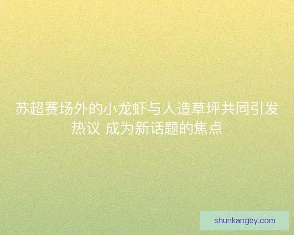 苏超赛场外的小龙虾与人造草坪共同引发热议 成为新话题的焦点